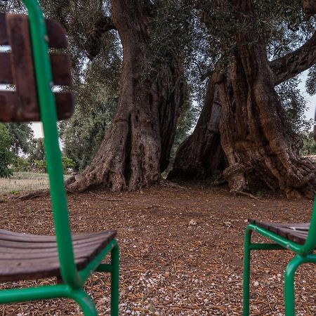 Masseria Torrelonga Fasano Buitenkant foto