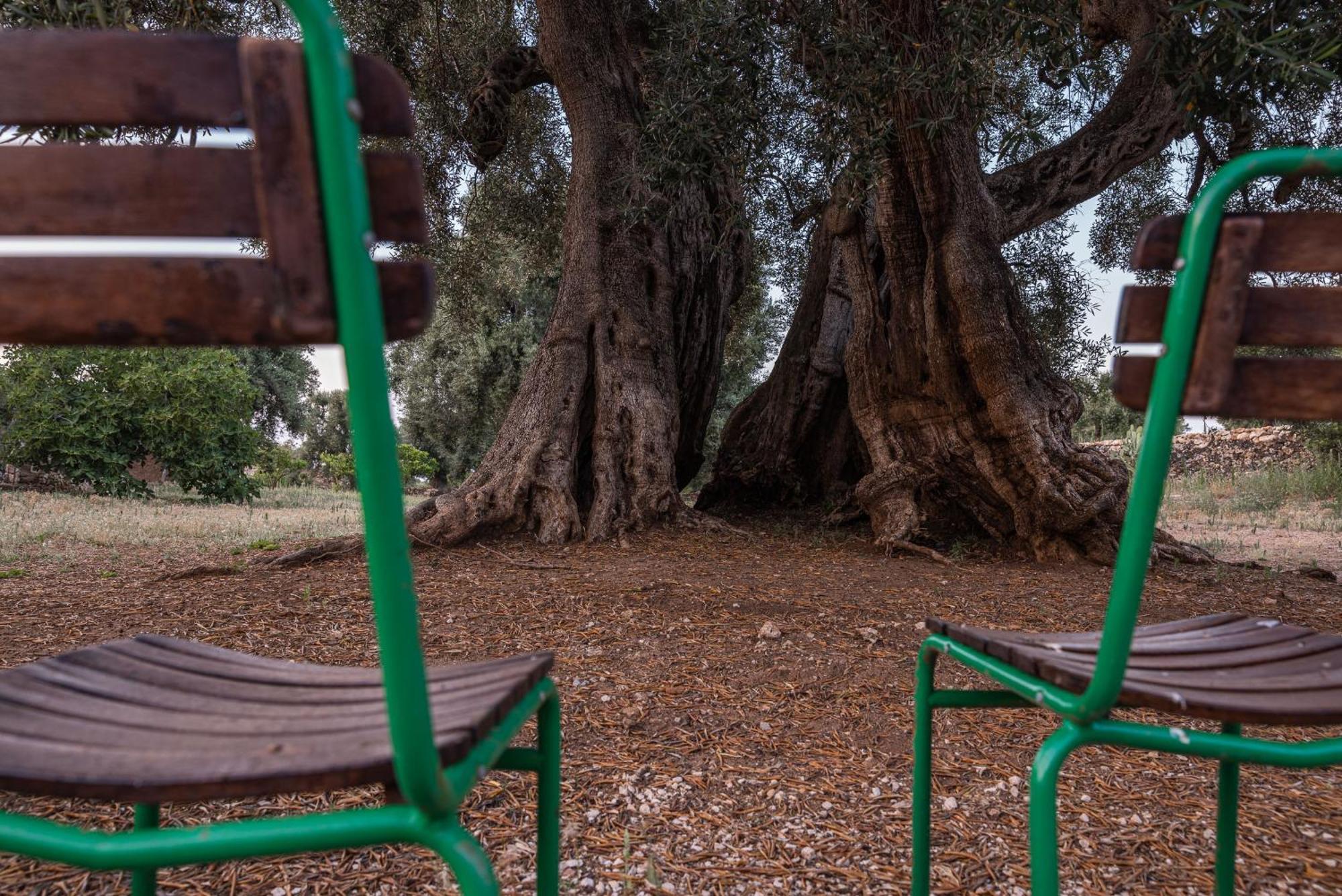 Masseria Torrelonga Fasano Buitenkant foto